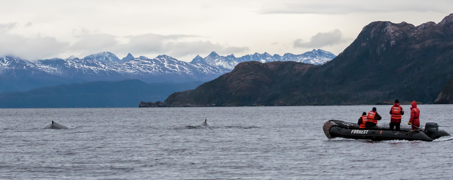 Patagonia Chile @Experiencias WHALEWATCHING