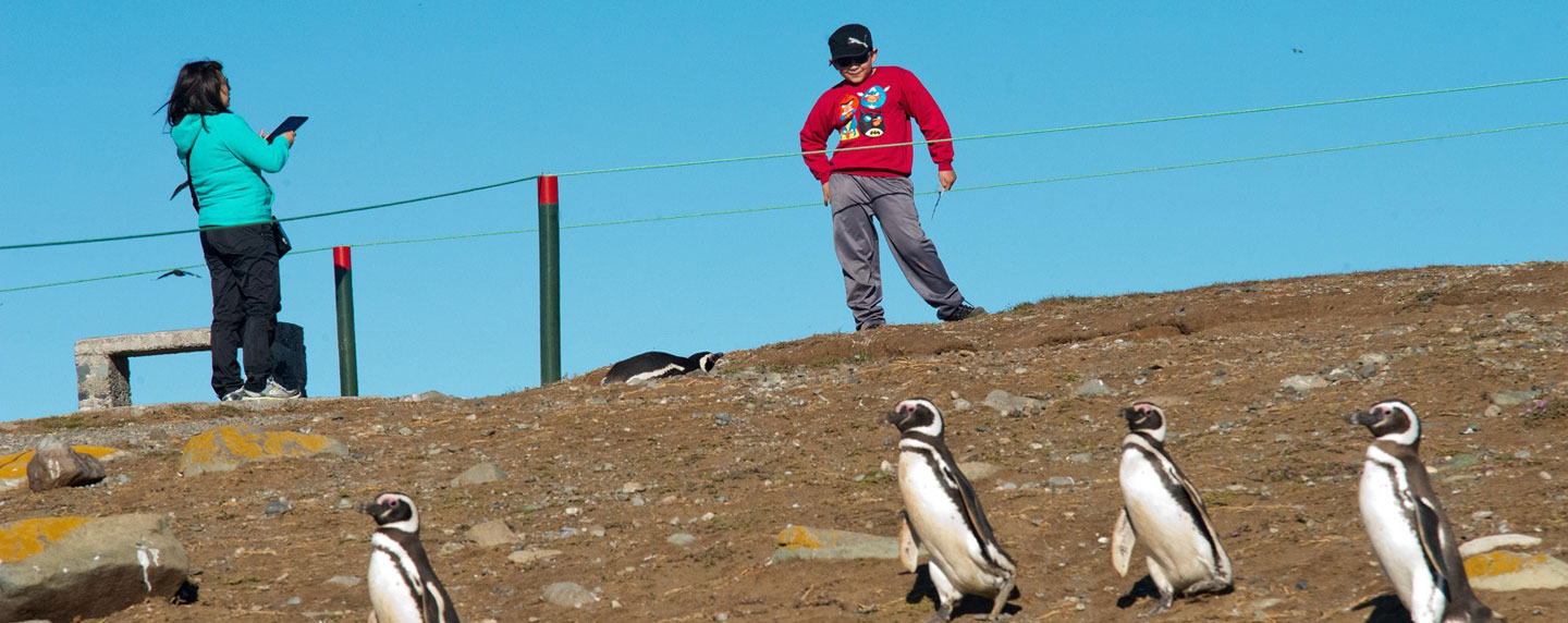 Patagonia Chile @Experiencias Los Pingüinos Natural Monument