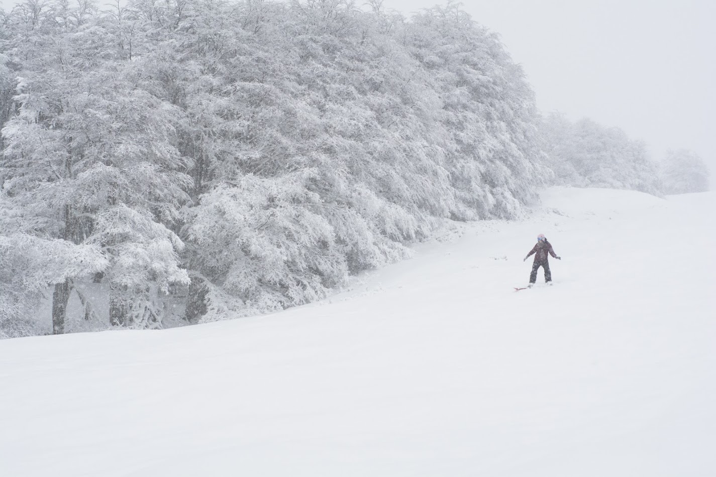 Patagonia Chile blog ❄️ Winter Camp Patagonia – Julio 2025