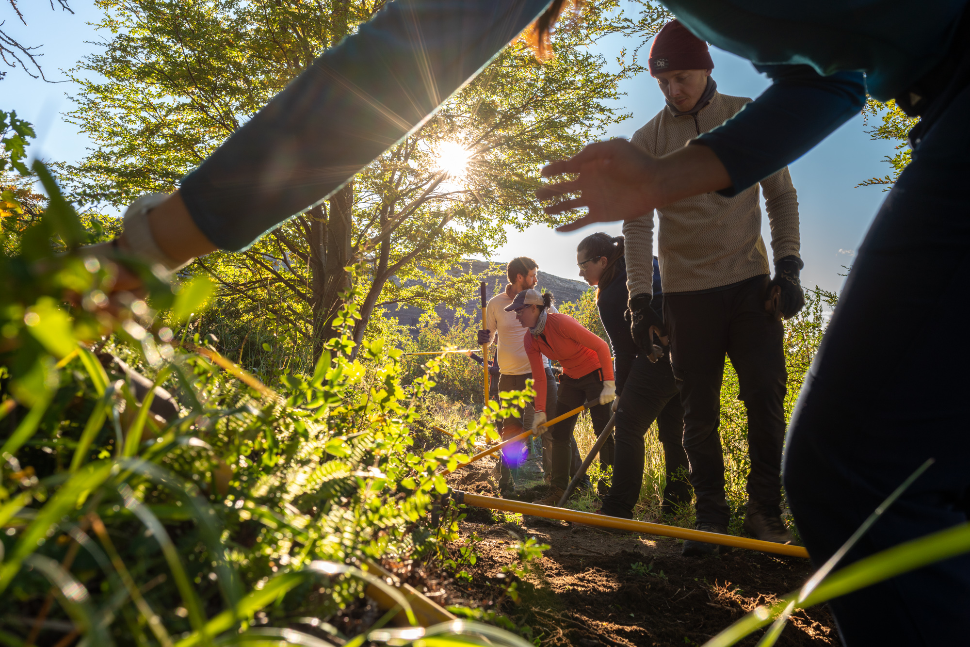 Patagonia Chile blog Convocatoria de voluntariado en Torres del Paine –  Febrero 2026